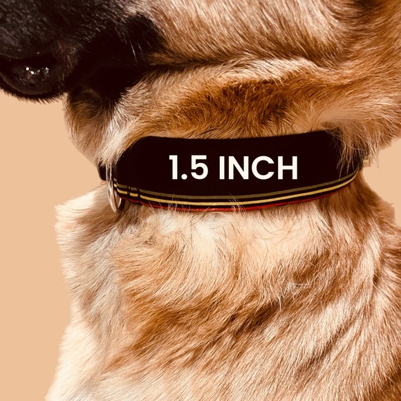 2” White Bones & Paw Prints Dog Collar - Picture 6 of 8